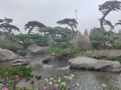 -罗红摄影艺术馆