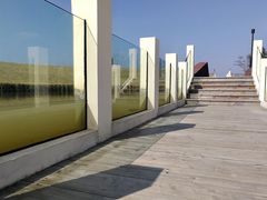 -春花秋色城市公园