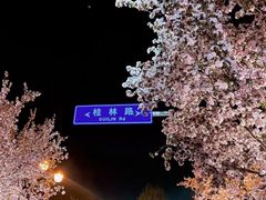 -睦南公园