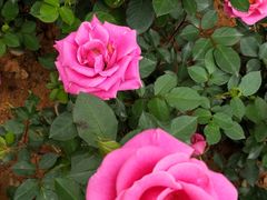 -人民公园(罗湖区)