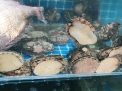 -宾朋海鲜特色美食餐厅·纯手工鲅鱼水饺(兴海路店)