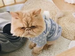 -小时光咖啡馆(开森度假森林店)