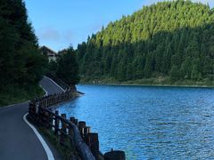 -武陵山森林公园