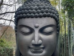 -杭州植物园