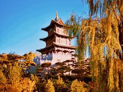 -迎泽公园