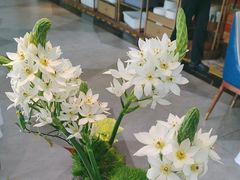 -顺峰(农展馆店)