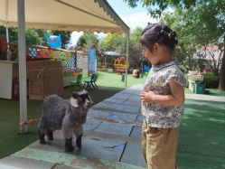 -萌宠亲子动物乐园(槐房万达店)