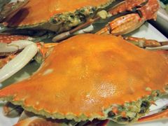 -滨海小渔村·海肠捞饭·鲅鱼水饺·特色老火鱼丸汤(华田店)