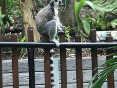 -可伦宾野生动物保护区