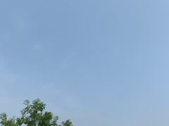-云岗森林公园