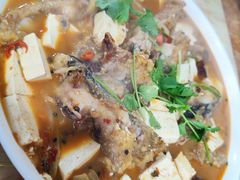 -煲来饱去冷水鱼