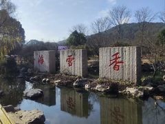 -香雪海