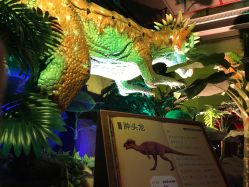 -恐龙探索乐园(磁器口店)