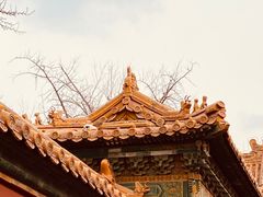 -故宫博物院(故宫)