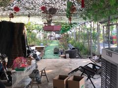 -马陆小张葡萄园农家乐