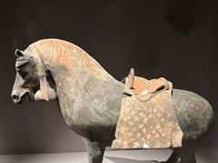 -大同市博物馆