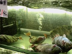 -覃记海鲜美食餐厅