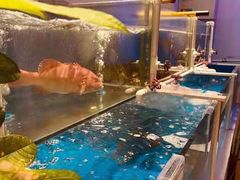 -金汤宴餐厅·粤菜(德云社店)