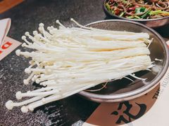 金针菇-蛙小侠(卓悦里店)