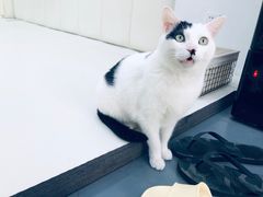 -菠萝格斗巴西柔术训练馆
