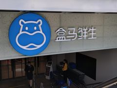 门面-盒马鲜生(双清路店)