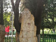 -双榆树公园