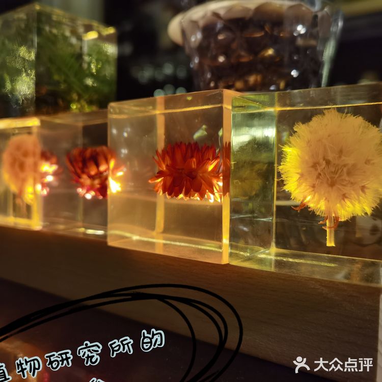 近日份推荐