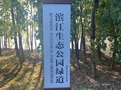 -滨江生态公园