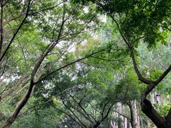 -深圳湾公园(南山区)
