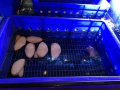 -劲烧-烧烤工坊(保利水城店)