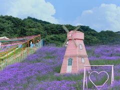 -武陵山森林公园