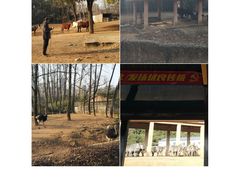 -杭州野生动物世界