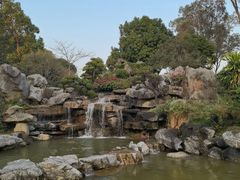 -东莞植物园