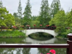 -东平国家森林公园