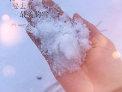 -秦岭风景区