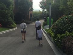 -上海崇明金茂凯悦酒店