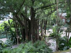 -乌山风景区