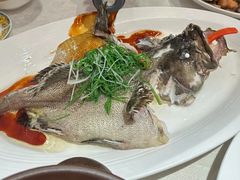 -南海渔村(珠江新城店)