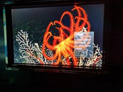 -同济大学四平路校区深海探索馆