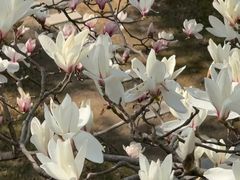 -上海大学(嘉定校区)