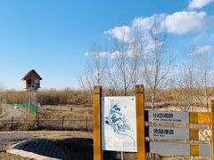 -东郊湿地公园