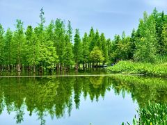 -白鹭湾湿地公园