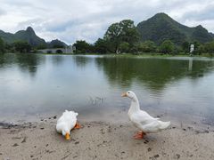 -Club Med地中海俱乐部·桂林度假村