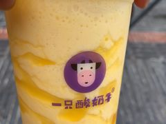 -一只酸奶牛(奎星楼店)
