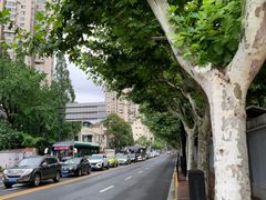 -美臣大酒店