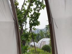 -悦见花开·花园里的火锅·露营·下午茶