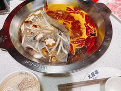 -大龙燚火锅