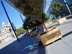 -墨尔本博物馆(Melbourne Museum)