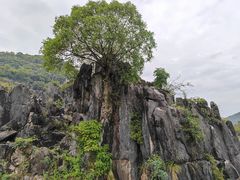 -玉石林风景区