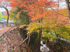 -三千院